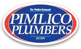 pimlico-plumbers-head